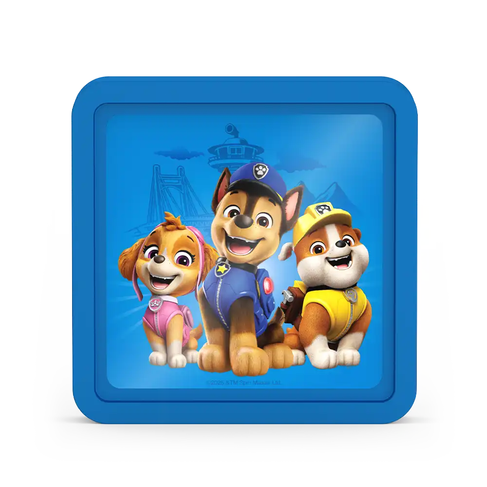 Hard Ice Paw Patrol